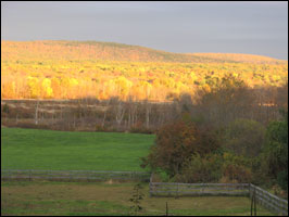 View to the East